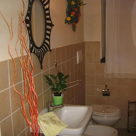 Rose In By Interhome *