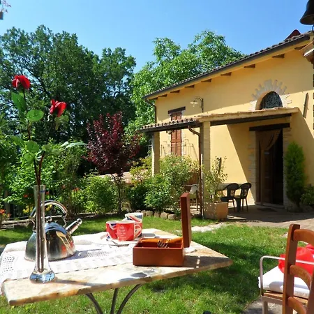 Rose In By Interhome *